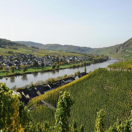 Sch Ne Wohnung In Der Moselregion Kinheim 外观 照片