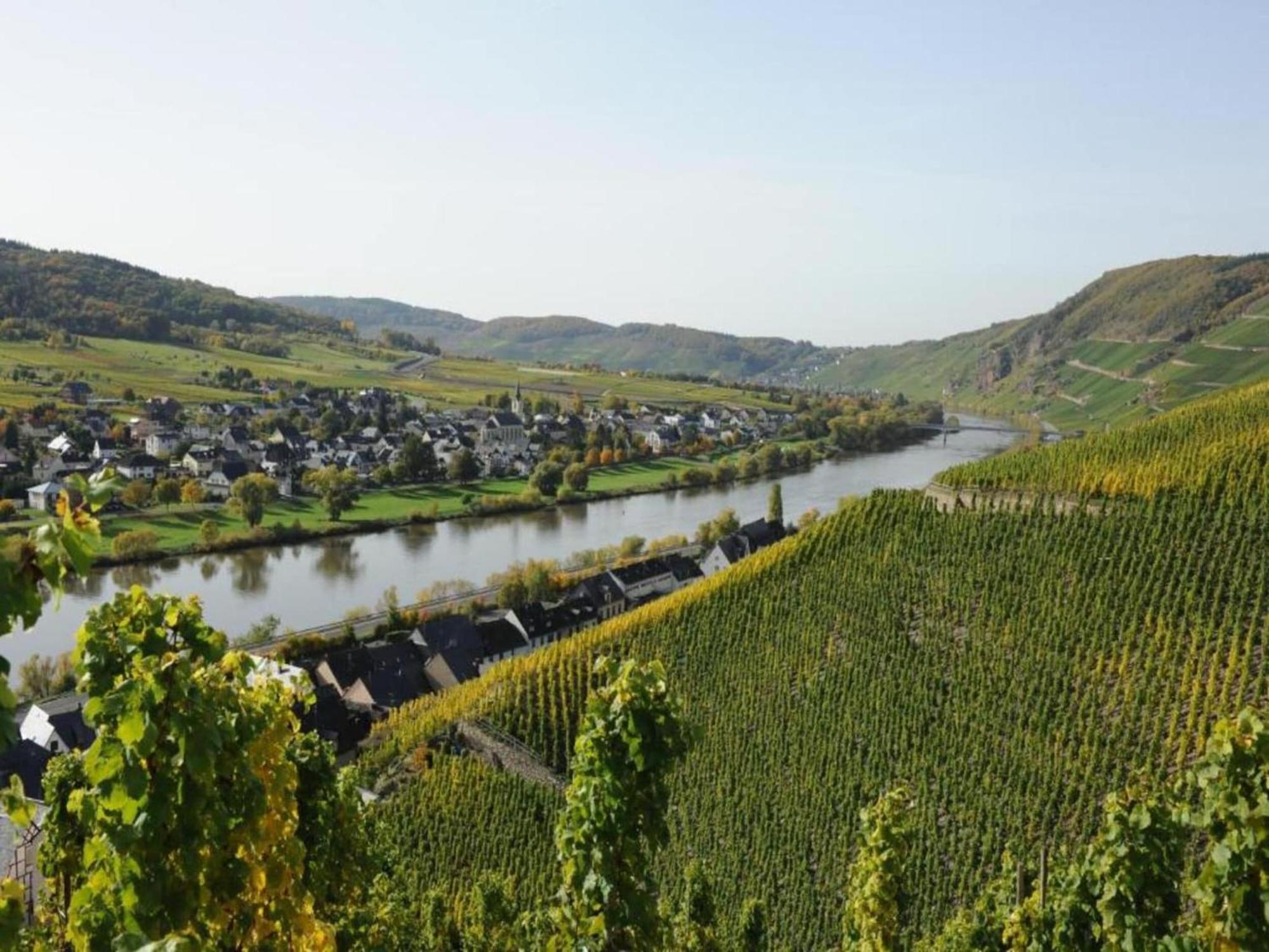 Sch Ne Wohnung In Der Moselregion Kinheim 外观 照片