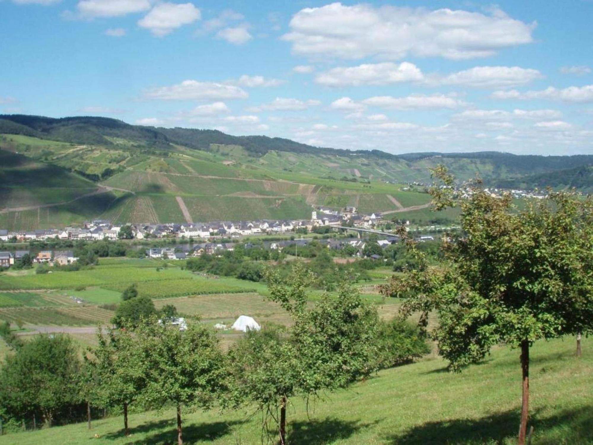 Sch Ne Wohnung In Der Moselregion Kinheim 外观 照片