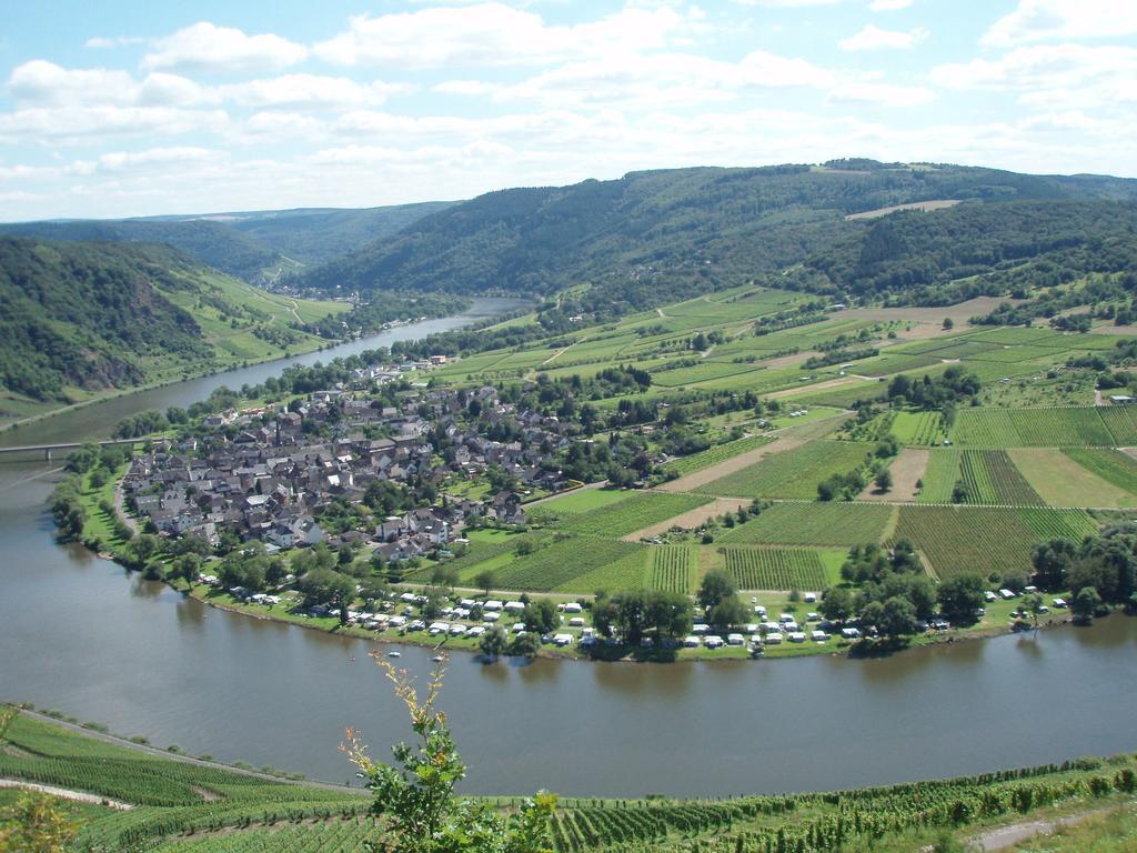 Sch Ne Wohnung In Der Moselregion Kinheim 外观 照片